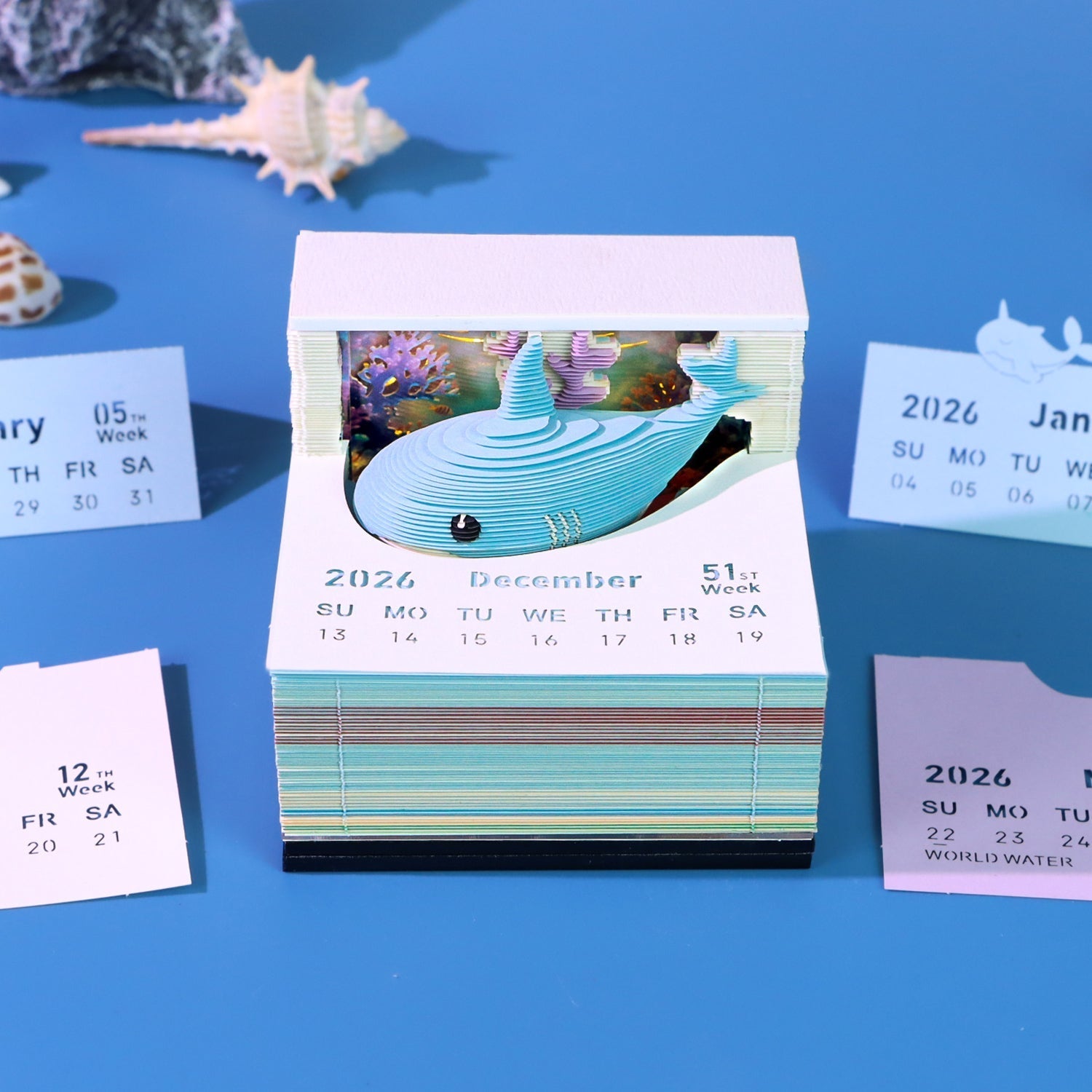 Baby Shark (Avec Lumière & Calendrier 2026)