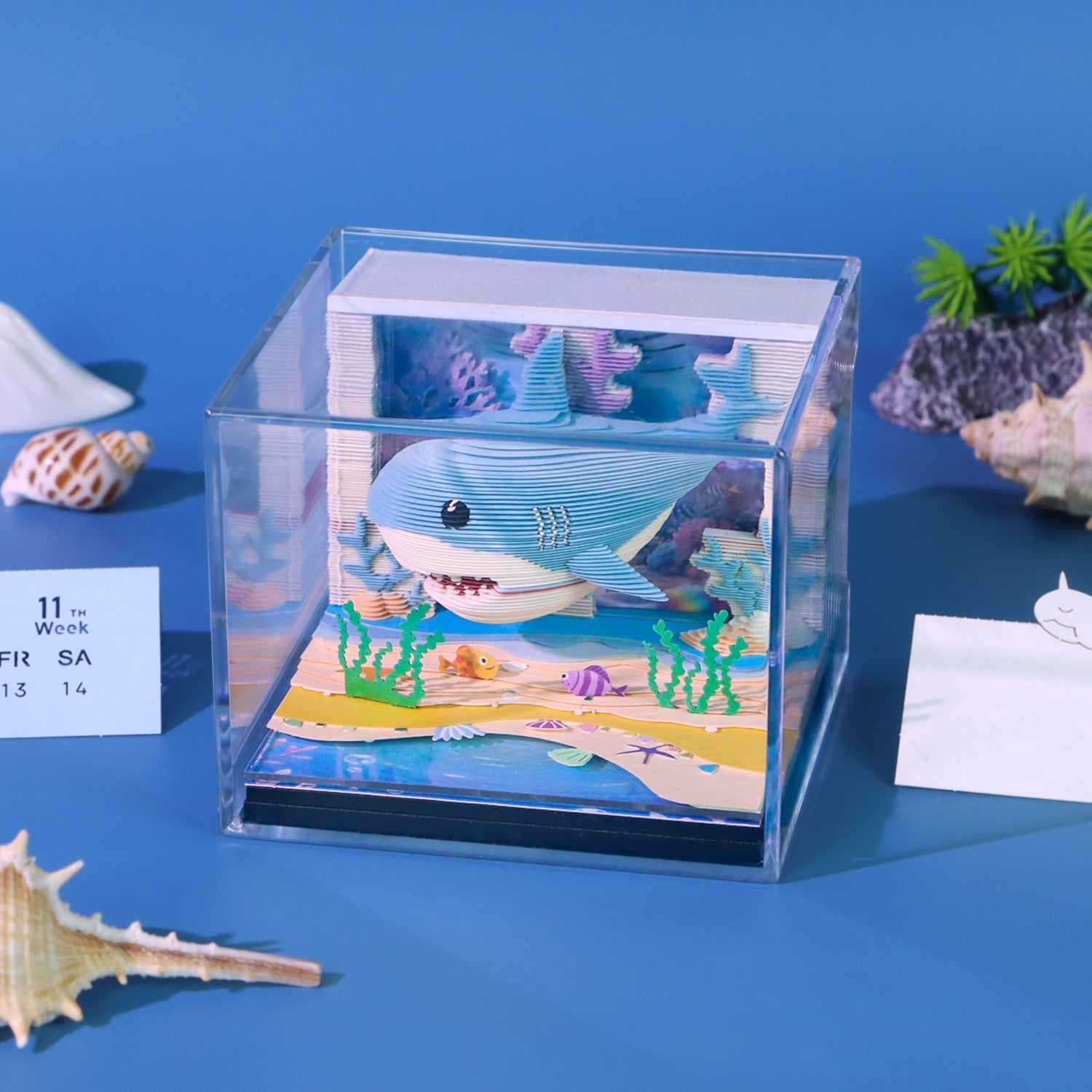 Baby Shark (Avec Lumière & Calendrier 2026)